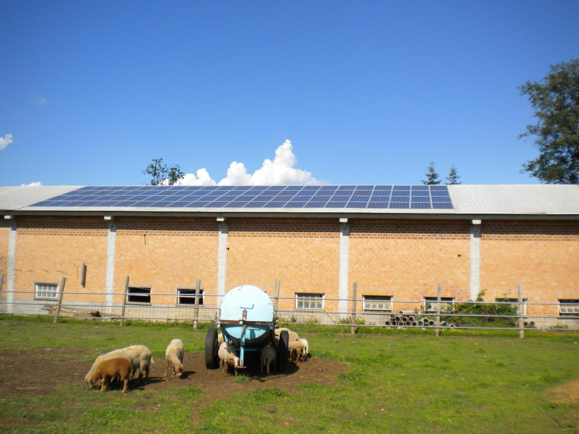 Agriturismo La Dimora Del Contadino Mondovì Eksteriør billede