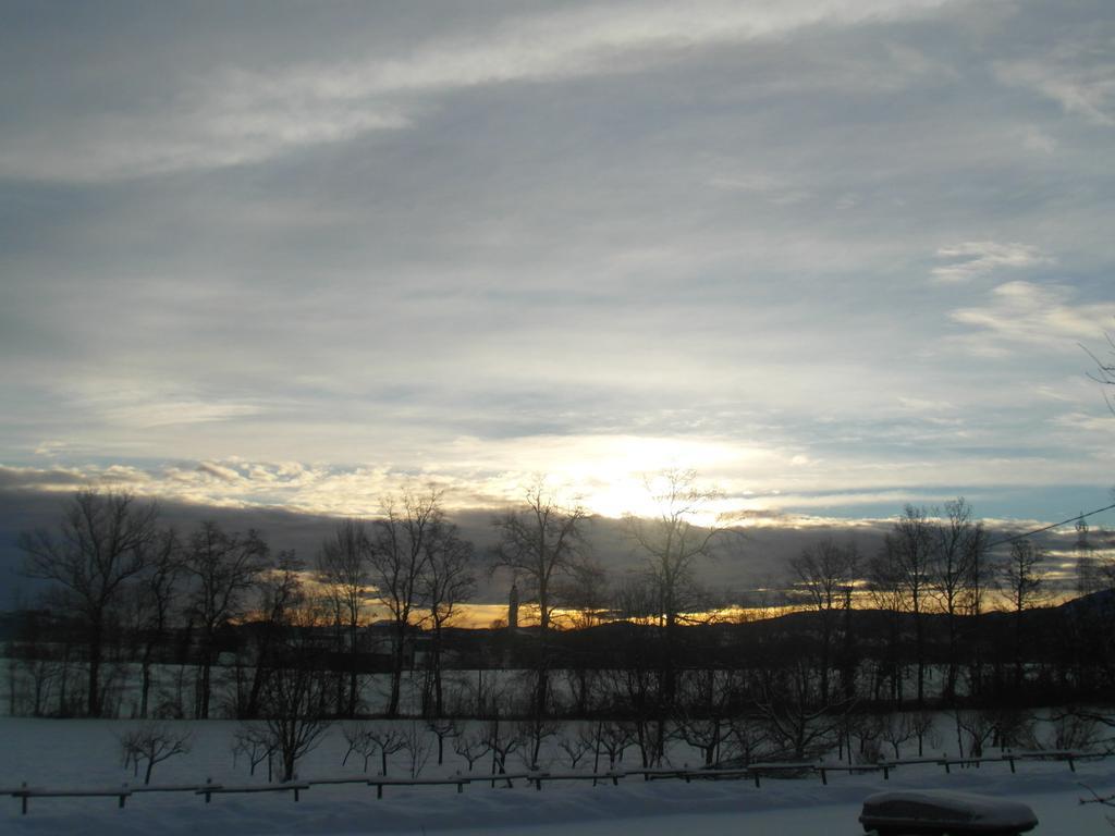 Agriturismo La Dimora Del Contadino Mondovì Eksteriør billede